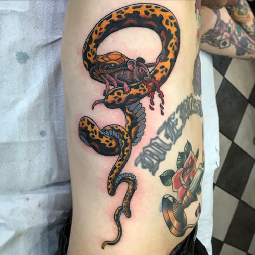 snake-tattoo-minneapolis-studio-mn